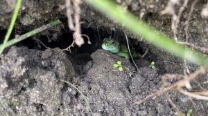 Воронеж водосброс рыбалка, как доехать, где находится и стоит ли ехать. Куда съездить порыбачить.