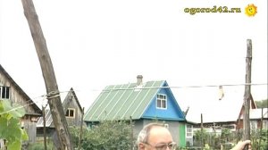 Одноплоскостная шпалера