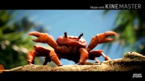 ТАНЦУЮЩИЕ КРАБЫ?? 0_0