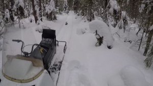 Покатушки по лесу на снегоходе Буран