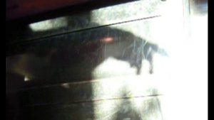 "На  Опушке" - композитор И.Я.Беркович, исполнитель - Миша Медведский (1-й класс)