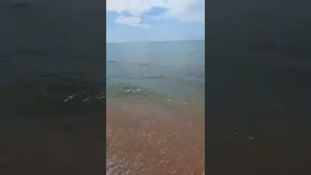 #бугазскаякоса #предместинваня ребята, если кто-то будет отдыхать на б.косе -это 1,5 км от шлагбаум