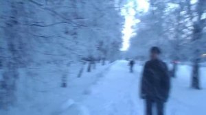 Берёза в снегу Футаж