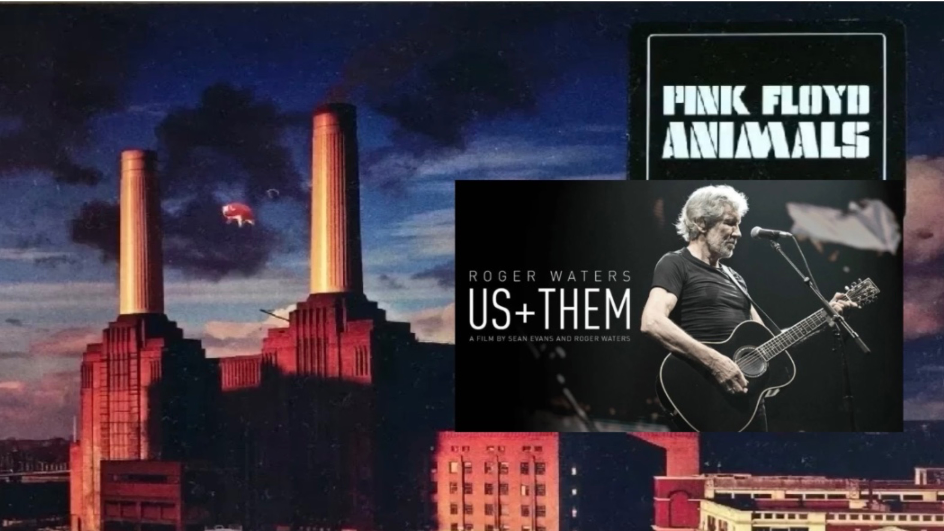 Roger Waters (Pink Floyd) - Pigs( Three different ones