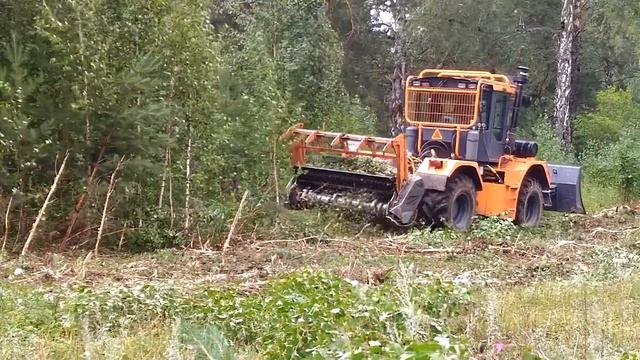 Расчистка территорий. Мульчер на тракторе Станислав. МФ-705 смотреть онлайн