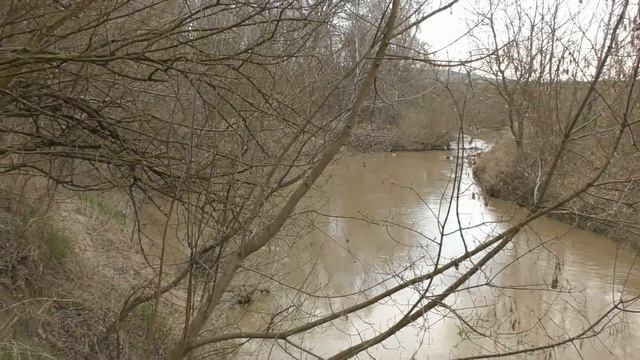 Как мы ходили за пролесками. смотреть онлайн