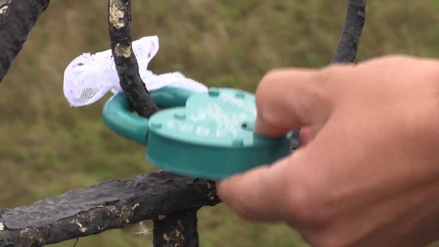 Свадьба Брата 2016г смотреть онлайн