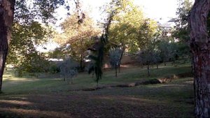 Территория  CLUB SIDELYA HV2 Турция ч. 2 The territory of the hotel CLUB SIDELYA HV2 Turkey part 2