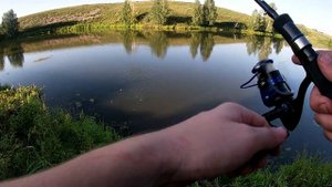 Топтушки рыбалка. Тогульский район. Топтушинский пруд.