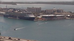 ? LIVE Port Miami Cruise Terminals  - March 23 2023