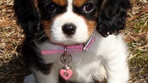 Музыка  2014. Реальный хит! Я тащусь!