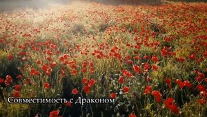 Совместимость знака Петух - лучшая и худшая пара