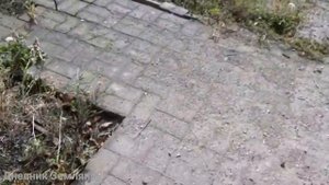 Донецк станция Рутченково 21.08.2020