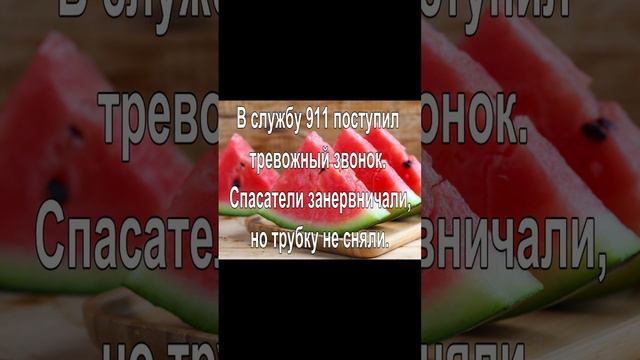 В службу 911 поступил тревожный звонок. Спасатели занервничали, но трубку не сняли.