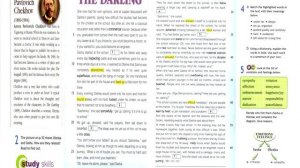 Spotlight 10 Модуль 3D. The Darling