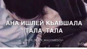Дагир Магомедов Анам 2020