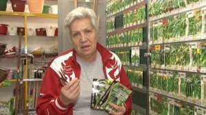 Голова садовая - Самый полный обзор семян огурцов