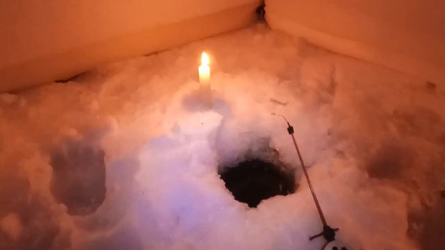 Плотва - Зимняя рыбалка Онежское озеро, январе 2019 года, ночная ловля