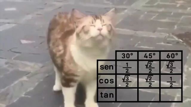 Aquela música que te salva na prova! (funk da trigonometria) смотреть онлайн