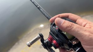 daiko nocturne s65uls