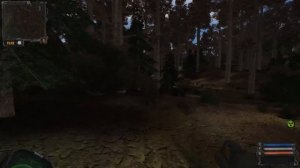 ВЕТЕР ВРЕМЕНИ: РАК У ЛЕСНИКА? И ИНСТРУМЕНТЫ (#15)