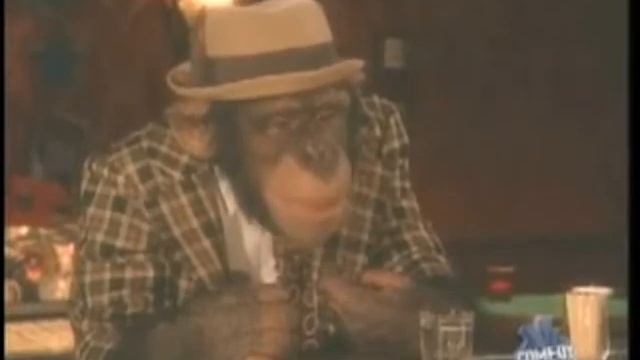 Monkey Bar Sketch