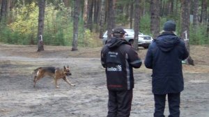 Открытый Чемпионат Алтайского края по ОКД, ЗКС (ОКД+ЗКС), ОКД(мини)17