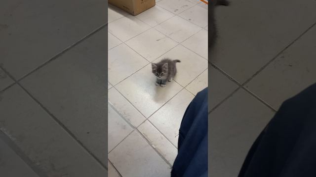 У меня есть друг Иван, он пораб.