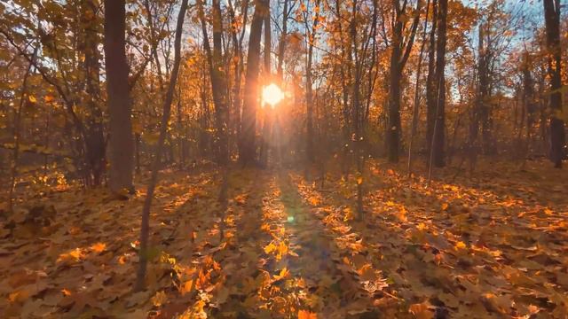 Ушел от нас последний день