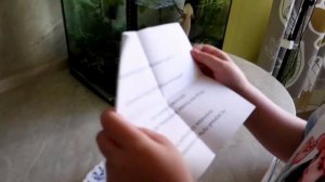 Квест по поиску подарка дома / Детский день рождения