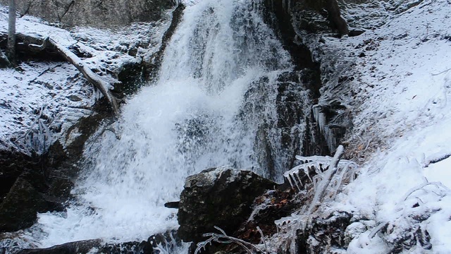 DSC_8088 смотреть онлайн