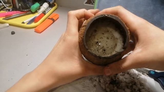 Делаем домик из кокоса для мышей?, змеи?, попугая?, рыбок?. смотреть онлайн