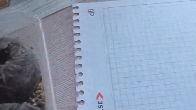 ЭУСТОМА-пора сажать семена,чтобы увидеть цветение в начале июня. смотреть онлайн