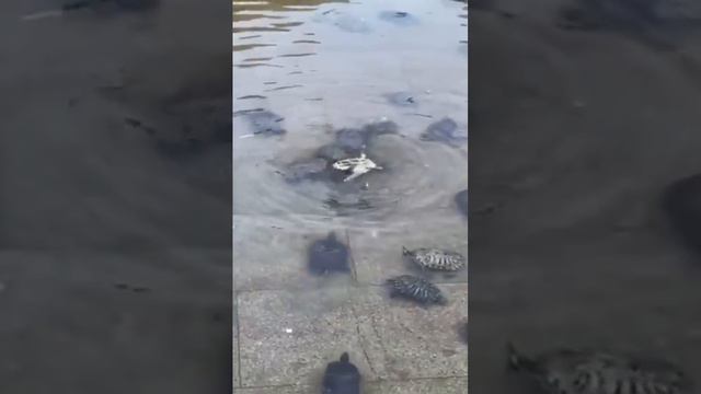 Взаимовыручка