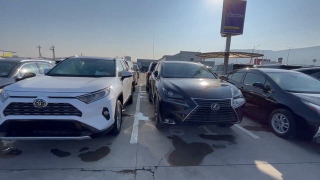 Авторынок Грузия. АВТОПАПА ОБЗОР ЦЕН ДЕКАБРЬ 2022