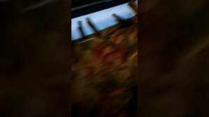 Метёлочная антенна и атмосферное электричество