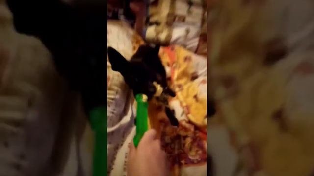 зачем так делать!? Хотите больше видео?
