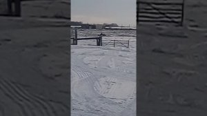 модуль толкач,мотобуксировщик Форза 15.л.с