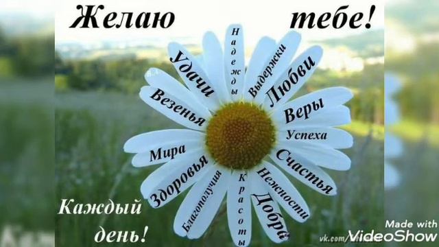БЕРЁЗОВЫЙ КРАЙ! КРАСИВАЯ ПЕСНЯ! 🌿🌿🌿#музыка #добрыепожелания #хорошеенастроение