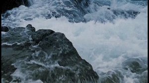 Феруза отин ойидан маъруза 2023 . Feruza otin oyidan maruza 2023.