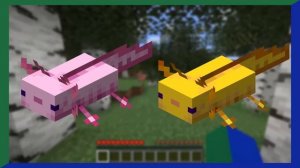 Minecraft's Missing Axolotl