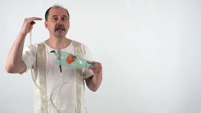 Мусорное биомоделирование. Позвоночные. Часть 1 - Рыбы. смотреть онлайн