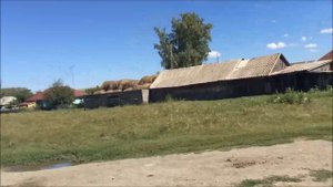 Берёзовка - 2015 (2)