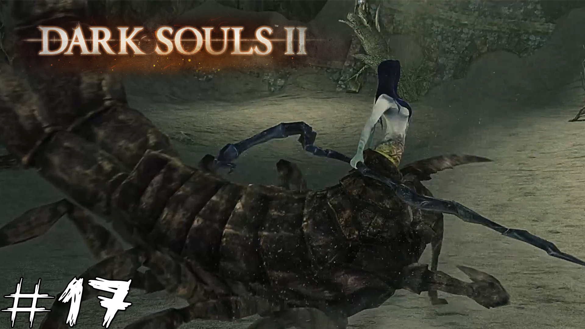 Dark souls 2 по стиму с другом фото 105