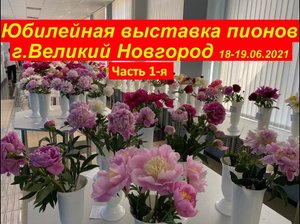 Юбилейная выставка пионов(часть 1-я)  в Великом Новгороде с 18-19июня 2021 года