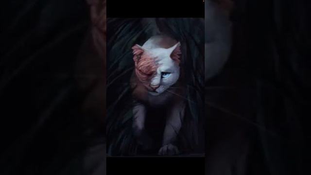 Кто такие коты воители ? смотреть онлайн