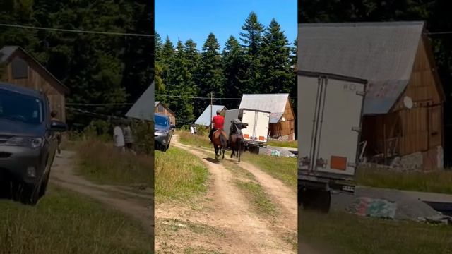 сумасшедшие скачки/кавказские лошад/crazy horse/mountain races|cxeni