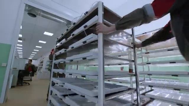Компания Энергостандарт