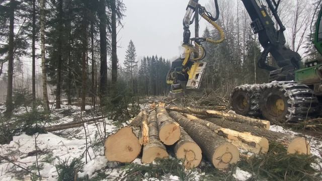 Осиновый рай,крупные деревья смотреть онлайн