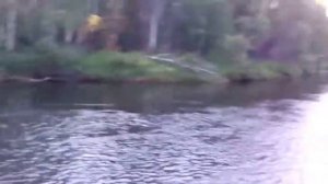 Речка Тойсук.